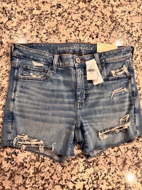 American Eagle Outfitters Light Blue Distressed Midi Denim Shorts